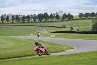 cadwell-no-limits-trackday;cadwell-park;cadwell-park-photographs;cadwell-trackday-photographs;enduro-digital-images;event-digital-images;eventdigitalimages;no-limits-trackdays;peter-wileman-photography;racing-digital-images;snetterton;snetterton-no-limits-trackday;snetterton-photographs;snetterton-trackday-photographs;trackday-digital-images;trackday-photos